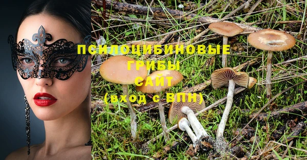 амф Нефтекумск