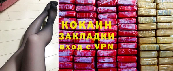 PSILOCYBIN Навашино