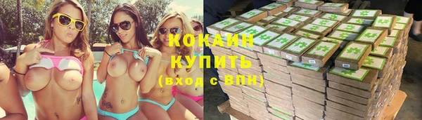 прущие грибы Нея