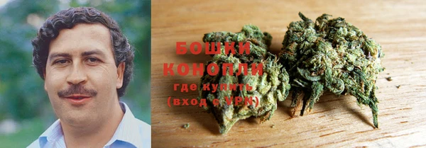 ГАЛЛЮЦИНОГЕННЫЕ ГРИБЫ Нефтегорск