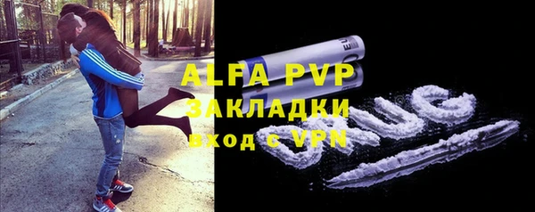 прущие грибы Нея