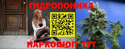 скорость Аргун