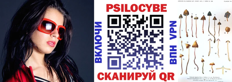 Псилоцибиновые грибы мицелий  Симферополь 