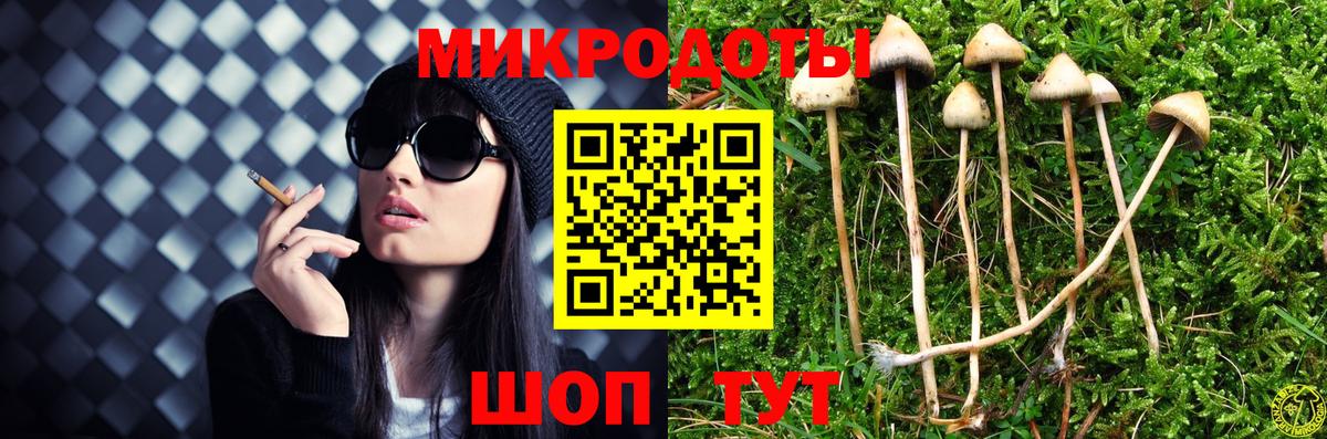 Псилоцибиновые грибы Cubensis Симферополь